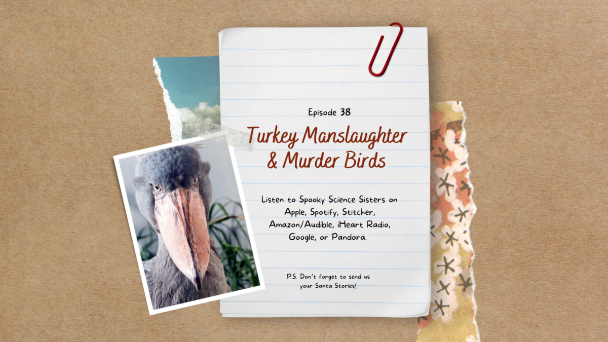 Episode 38 Sources: Turkey Manslaughter & Murder Birds